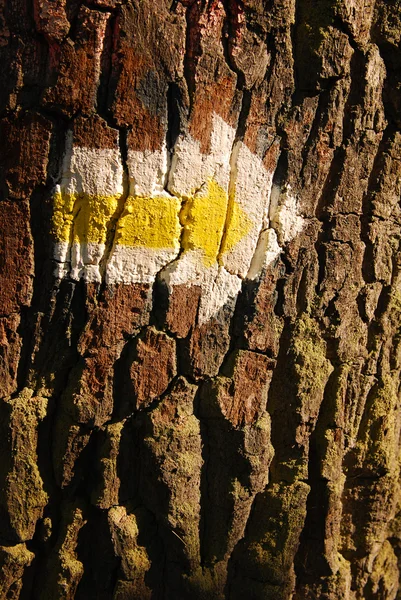 Yellow arrow on tree — Stok fotoğraf