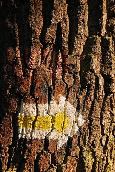 Yellow arrow on tree — Stok fotoğraf