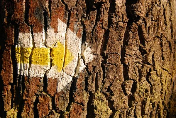 Yellow arrow on tree — Stock Photo, Image