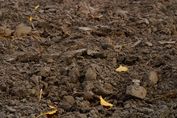 Fragmento de campo com solo arado — Fotografia de Stock