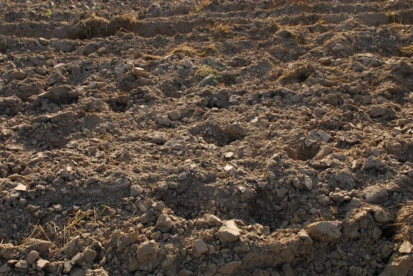 Fragmento de campo com solo arado — Fotografia de Stock