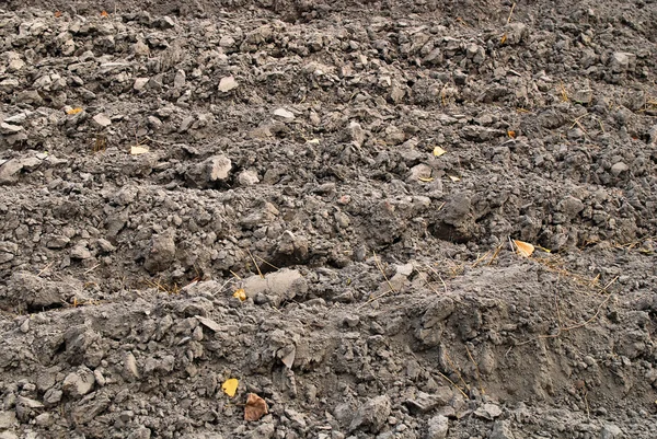 Fragmento de campo con suelo arado —  Fotos de Stock