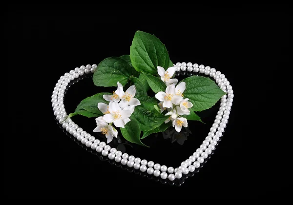 Beautiful Fresh Jasmine Flower with Heart of Pear — Stock Photo, Image