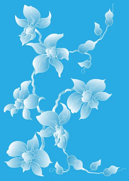 Orchidea Jogdíjmentes Stock Illusztrációk