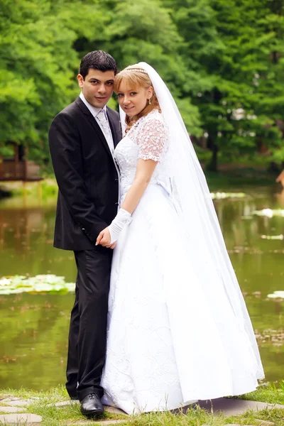 Красиві весілля пара — стокове фото