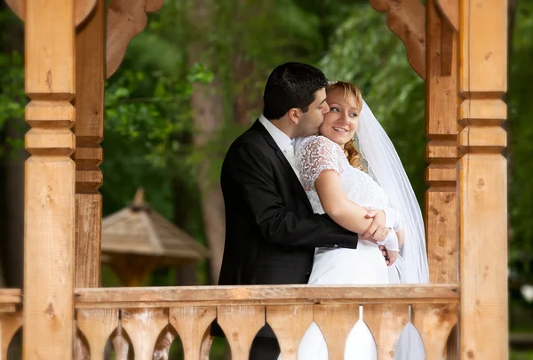 Sposo e sposo al matrimonio — Foto Stock