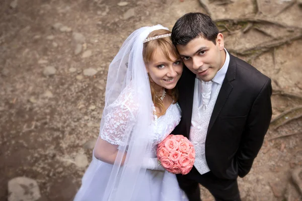 Novia y novio en la boda —  Fotos de Stock