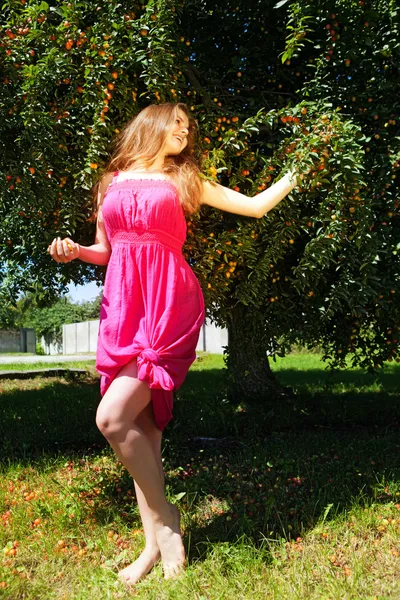 Bela menina da fazenda pegando frutas da árvore de ameixa — Fotografia de Stock
