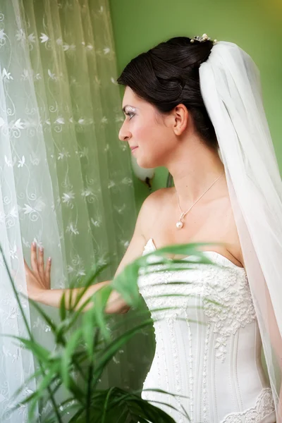 Portrait of beautiful young bride with wedding hairstyle — Stock Photo, Image