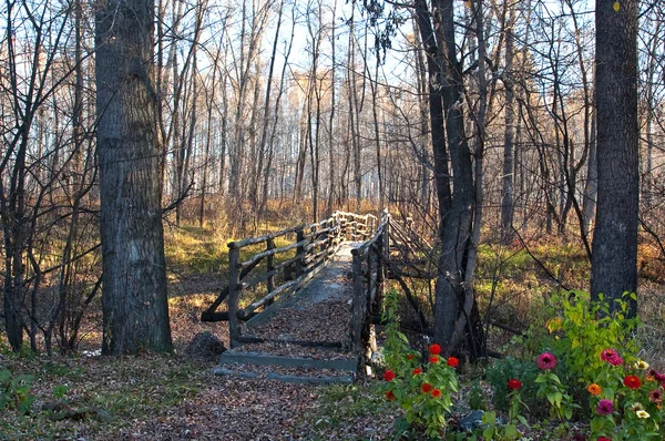 Деревянный мост и тропа — стоковое фото