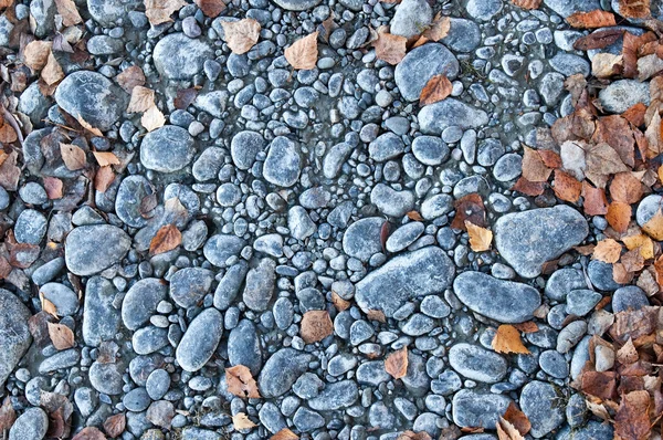 Beach pebble — Stock Photo, Image