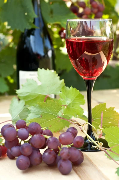 Vino y uvas — Foto de Stock