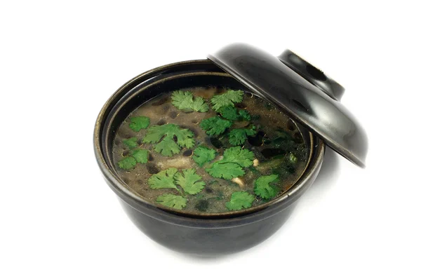 Fragrant soup — Stock Photo, Image