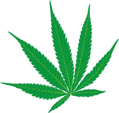 Hemp leaves clipart