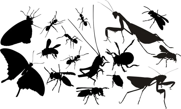 Insects silhouettes — Stock Vector