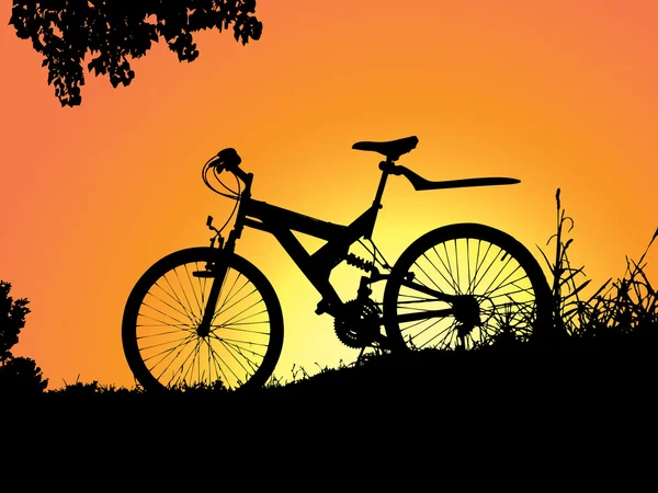Bicicleta descansando bajo el árbol — Vector de stock