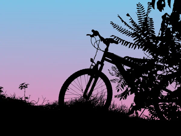 Coucher de soleil et vélo — Image vectorielle