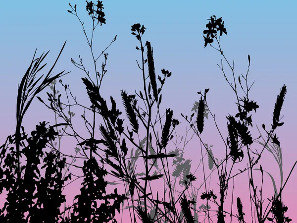 Grass silhouette — Stock Vector