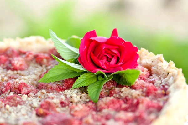 Strawberry tart close up — Stock Photo, Image