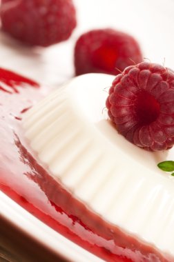 Vanilla panna cotta berry sos ile