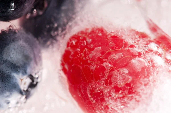 Malin a ostružin, zamrzlé v ledu hole — Stock fotografie