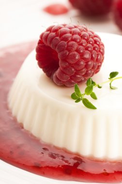 Vanilla panna cotta berry sos ile