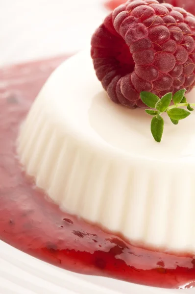 stock image Vanilla panna cotta with berry sauce