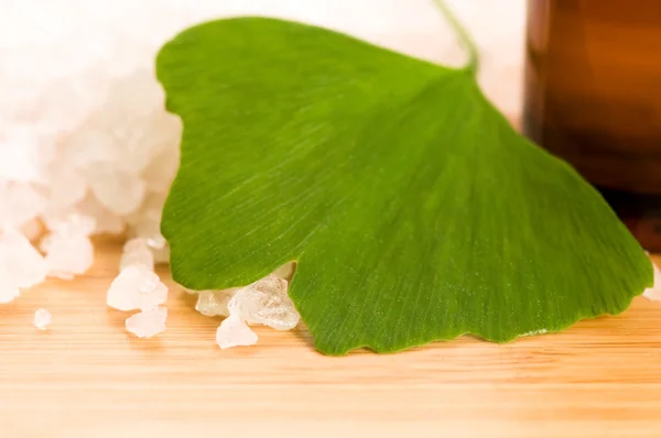 新鮮な葉ジンコの biloba エッセンシャル オイルと海塩 - 美容 tr — ストック写真