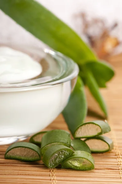 stock image Aloe vera - leaves and face cream