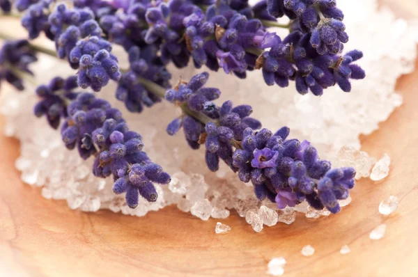 Lavender flowers and the bath salt - beauty treatment — Stock Photo, Image