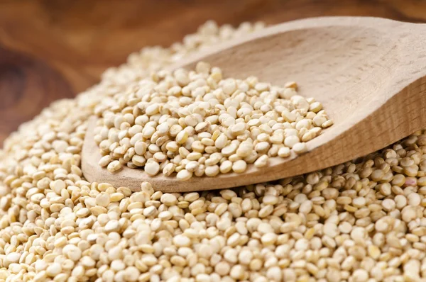 Quinoa grain — Stockfoto