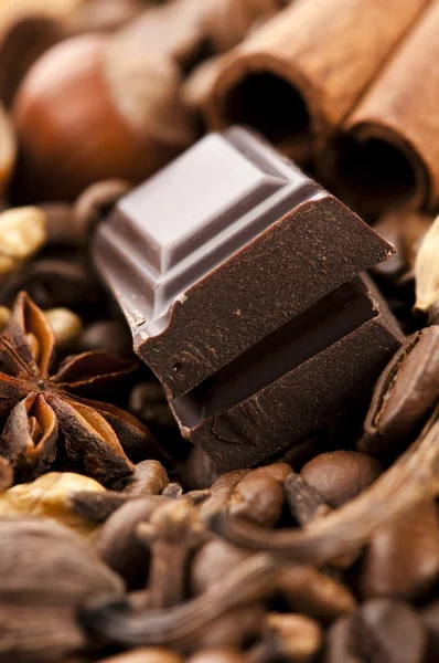 Шоколад с кофейными зёрнами, специями и орехами — стоковое фото