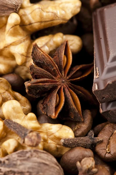 Çikolata kahve çekirdekleri, baharat ve kuruyemiş — Stok fotoğraf