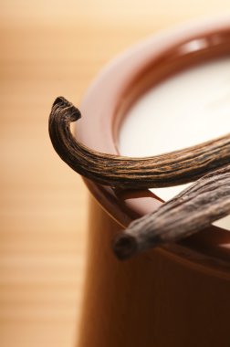 tatlı vanilyalı puding tatlısı