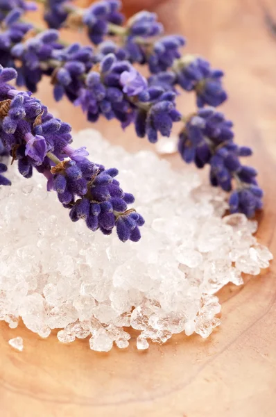 Соль для ванн со свежими цветами лаванды — стоковое фото