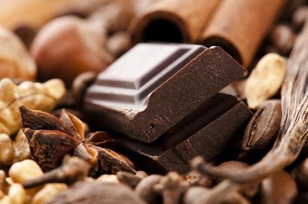 Çikolata kahve çekirdekleri, baharat ve kuruyemiş — Stok fotoğraf