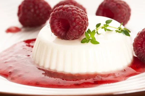 stock image Vanilla panna cotta with berry sauce