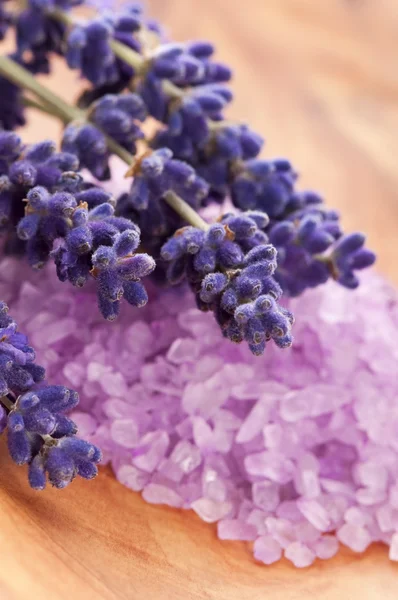 Koupelová sůl s čerstvým levandulové květy — Stock fotografie