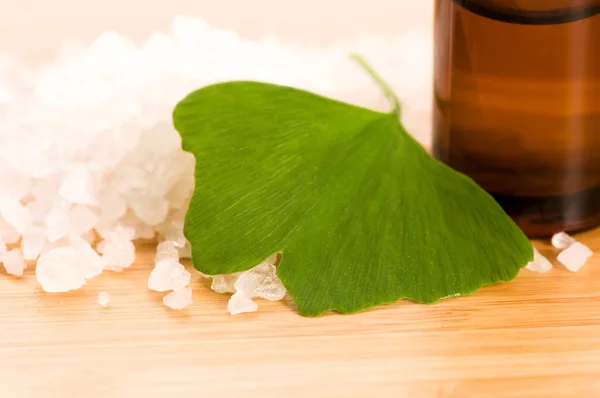 Aceite esencial de ginko biloba con hojas frescas - tratamiento de belleza —  Fotos de Stock