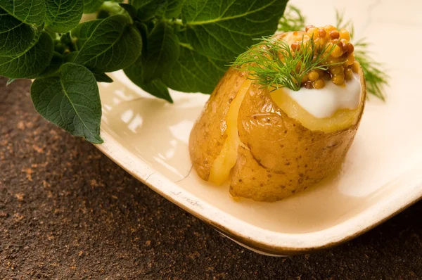 Запеченный картофель со сметаной, зерном дижонской горчицы и травами — стоковое фото