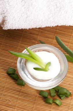 aloe vera - yaprak ve yüz kremi