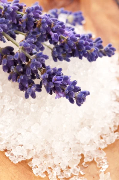 Лавандовые цветы и соль для ванн - косметические процедуры — стоковое фото