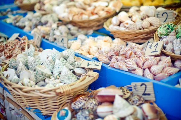 Seashells For Sale — Stock Photo, Image