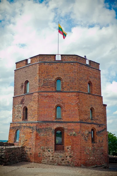 stock image Tower Of Gediminas