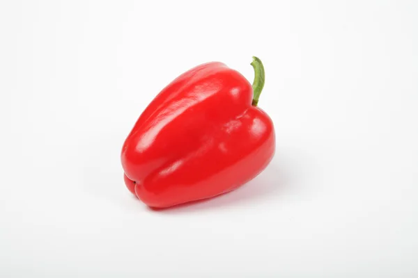 Один червоний peper — стокове фото