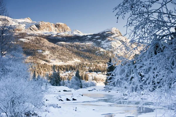 Inverno mágico Fotos De Bancos De Imagens