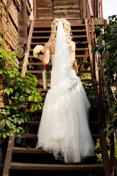 Fantástica noiva de beleza — Fotografia de Stock