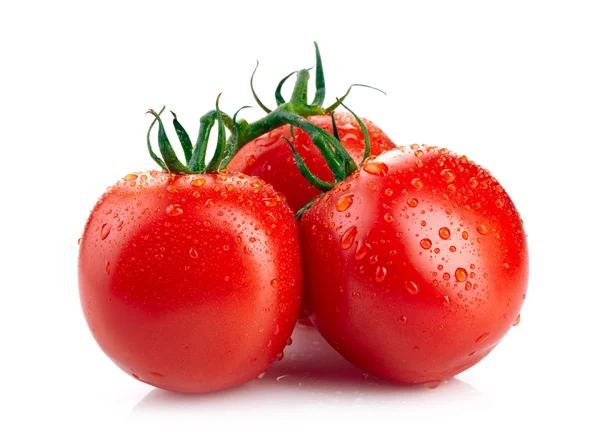 Tomates isolées sur blanc — Photo