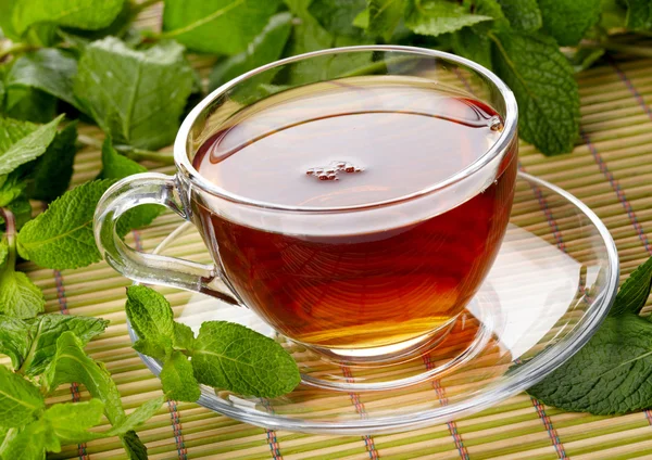 Taza de té con menta — Foto de Stock
