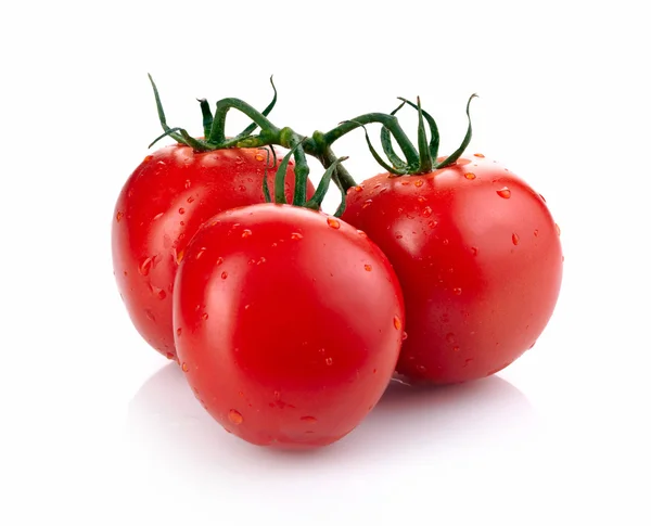 Tomates aislados en blanco — Foto de Stock